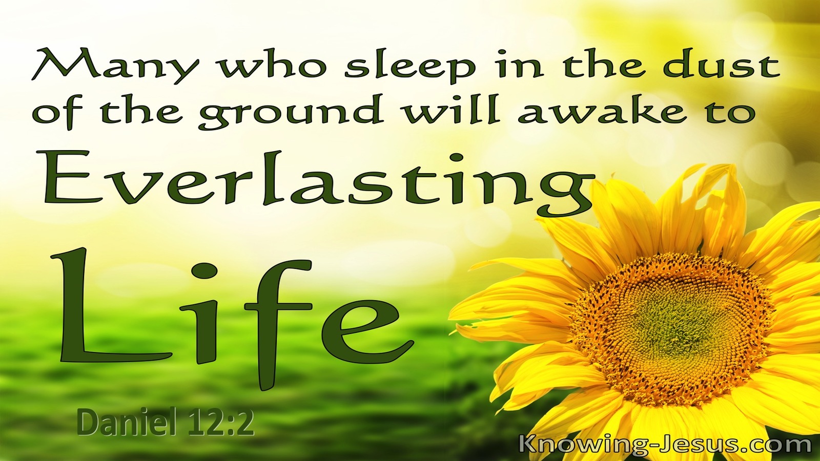 Daniel 12:2  Everlasting Life Or Everlasting Contempt (yellow)